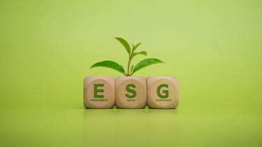 IFRS S1 and S2 and the future of ESG reporting standards